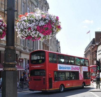 Категория A