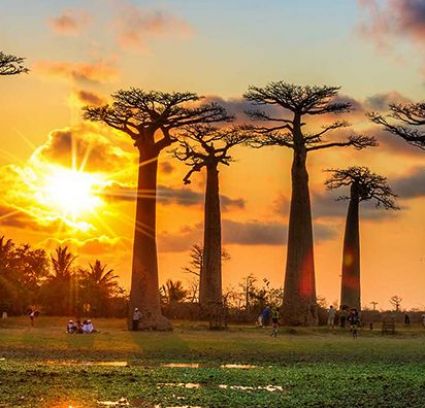 Настаняване по програма Мадагаскар и Мавриций - Едно вълнуващо пътешествие до двата екзотични острова през 2026