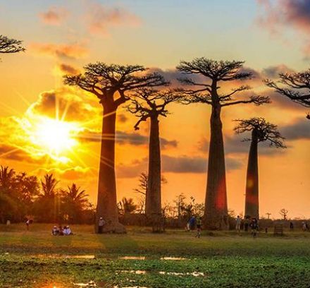 Мадагаскар и Мавриций - Едно вълнуващо пътешествие до двата екзотични острова през от София - 2026