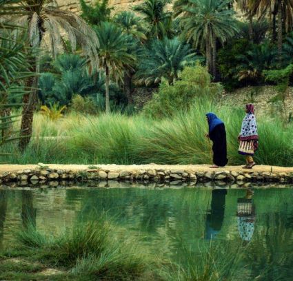 Настаняване по програма Оман - величествени каньони, зелени оазиси, древни крепости и топло гостоприемство от София - 2026