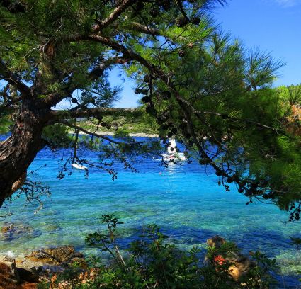 Salinas Beach Hotel Bodrum