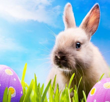 Почивка в ИСПАНИЯ - Великден на Коста дел Сол