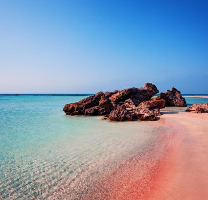 Melrose - закуски