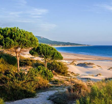 НОВА ГОДИНА в южна Испания, на брега на Испанските Кариби - Кадис и Коста де ла Лус! С включена обиколка на Кордоба и Мадрид!