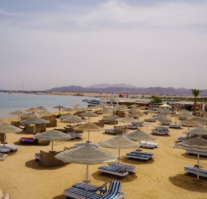 EAGLES PARADISE ABU SOMA