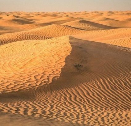 Настаняване по програмата