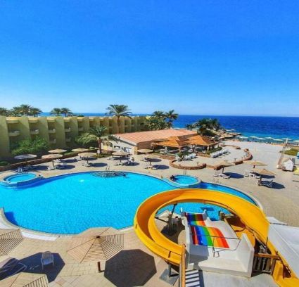 Palm Beach Resort Standard